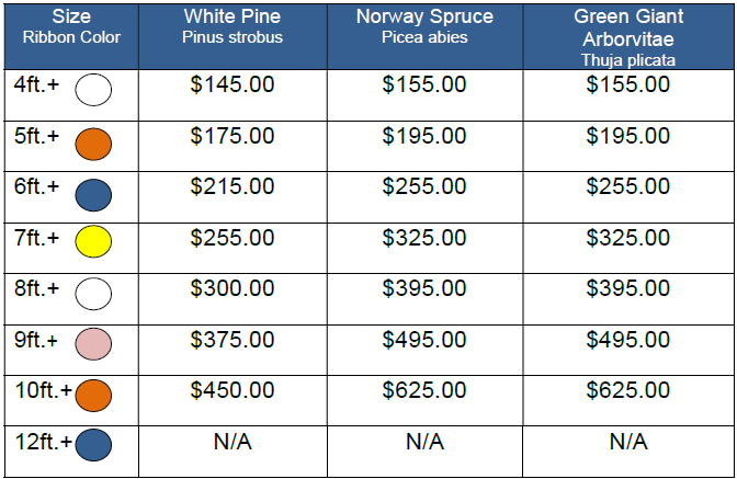 2025 Per Tree Prices