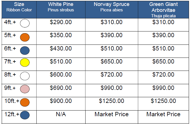 2025 Per Tree with Installation Prices
